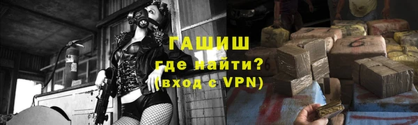 прущие грибы Балабаново
