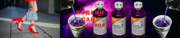 хмурый Кодинск