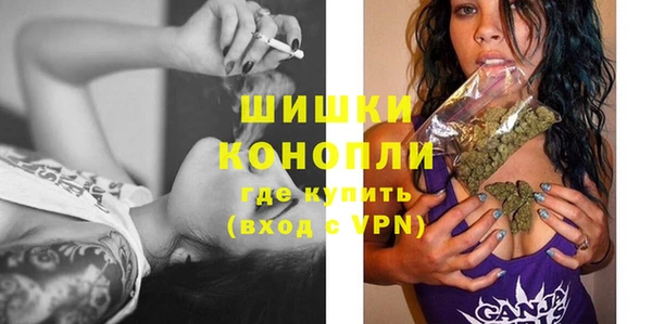 прущие грибы Балабаново